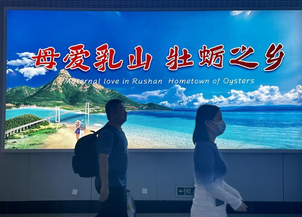 核污水排海后的生蚝养殖者：有人提前卖掉把钱攥手里，有人投入百万“孤注一掷”