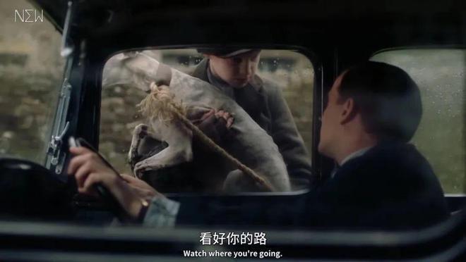 一集飙到9.6分！这神剧治好了我的精神内耗