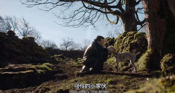 一集飙到9.6分！这神剧治好了我的精神内耗