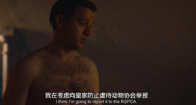 一集飙到9.6分！这神剧治好了我的精神内耗