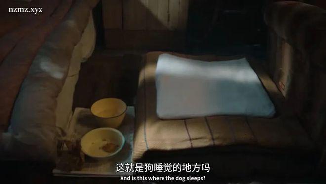 一集飙到9.6分！这神剧治好了我的精神内耗