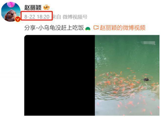 被传恋情绯闻，赵丽颖王一博同时更新动态