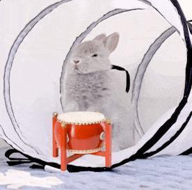 被瓜砸晕！三连爆！到底有几个好嫂子？