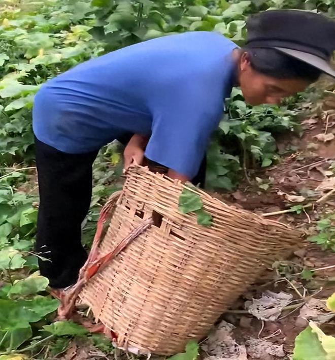 网红曲布被抓后续：家庭状况比以前更差