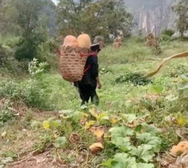 网红曲布被抓后续：家庭状况比以前更差