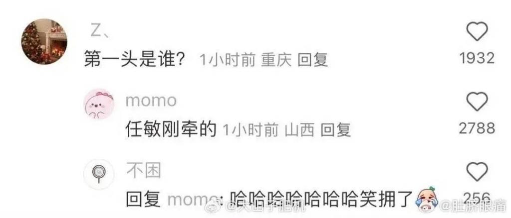 骂她的评论是不是太难听了…