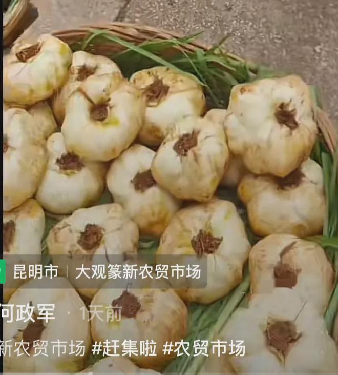 《亮剑》赵政委现身昆明 逛市场和大妈跳广场舞