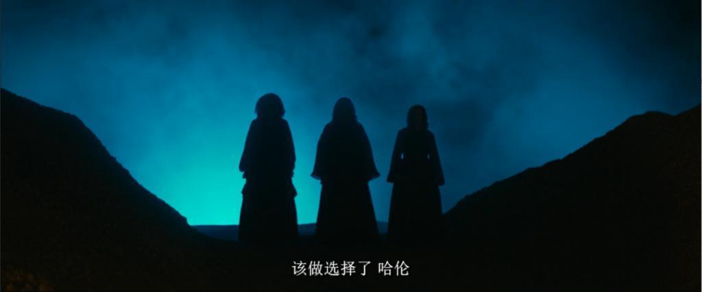 Lisa之后，她也下海了？