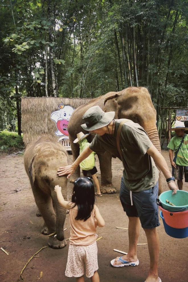 宋宁峰将再当爸，老婆张婉婷官宣怀二胎喜讯