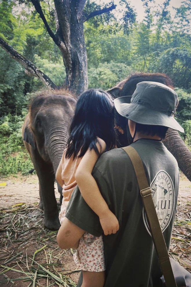 宋宁峰将再当爸，老婆张婉婷官宣怀二胎喜讯