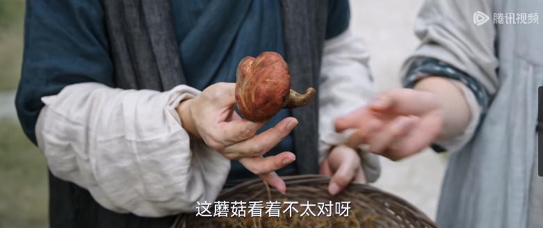 真吓人！她也开始催婚了？