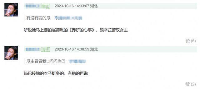 85花争资源？曝赵丽颖放弃跟陈可辛合作，杨幂接替？