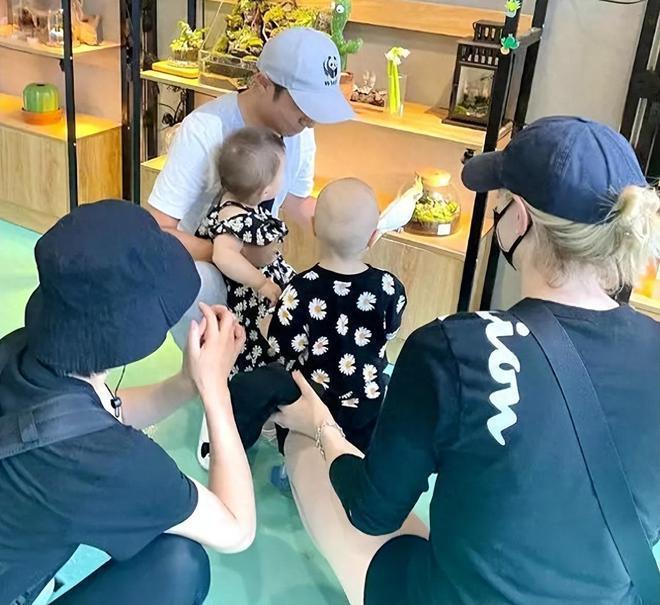 撒贝宁夫妇带龙凤胎吃西餐,俩娃乖巧吃饭不用喂