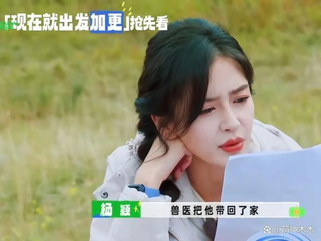 杨颖被浙江台除名后，闺蜜否认其受影响，称杨颖不会凉的