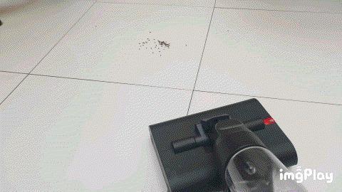 戴森洗地机，发布！
