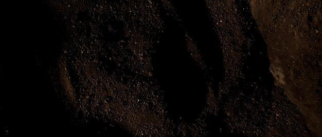 今年唯一打入柏林电影节的香港电影，内地无缘上映