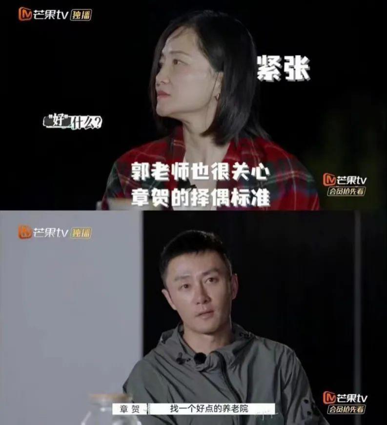 张婉婷怀二胎，谢天谢地他们没复婚…