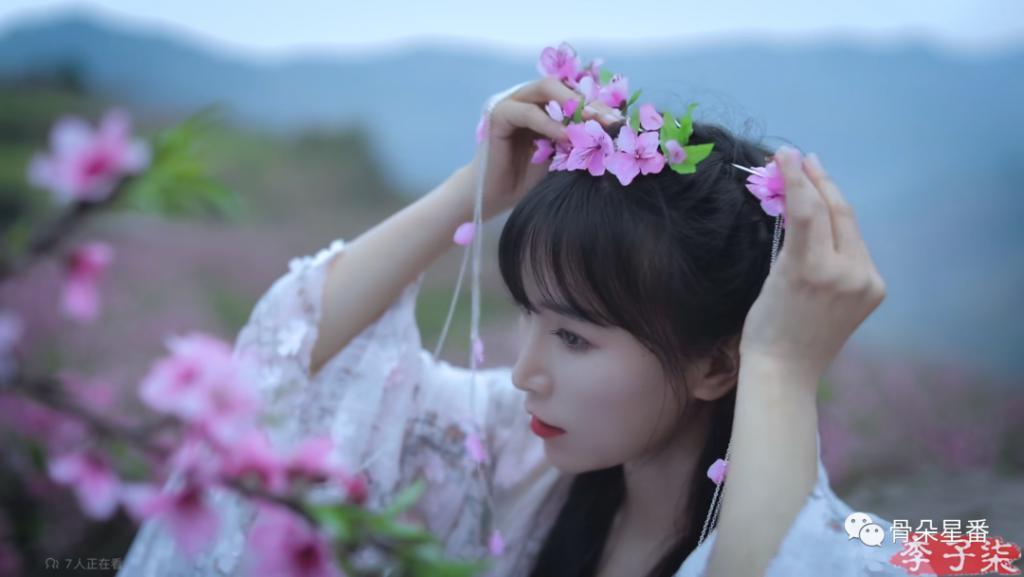 李子柒版“田耕纪”