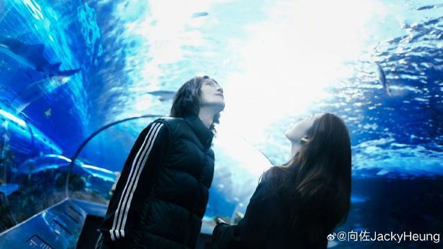 向佐郭碧婷海洋馆剪影大片 二人互相对视依偎秀恩爱