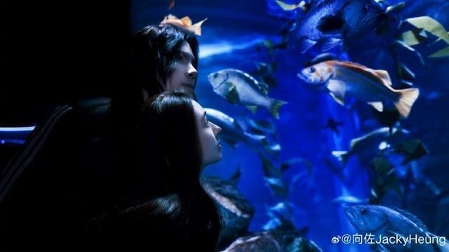 向佐郭碧婷海洋馆剪影大片 二人互相对视依偎秀恩爱