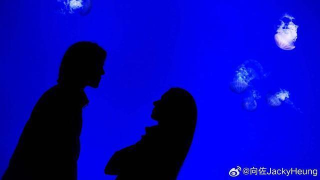 向佐郭碧婷海洋馆剪影大片 二人互相对视依偎秀恩爱