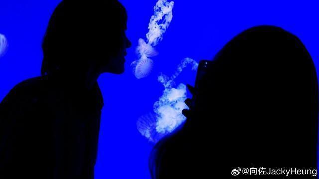 向佐郭碧婷海洋馆剪影大片 二人互相对视依偎秀恩爱