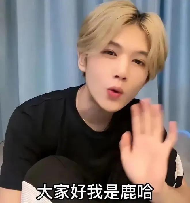 现在山寨明星赚的可能比明星本人还要多