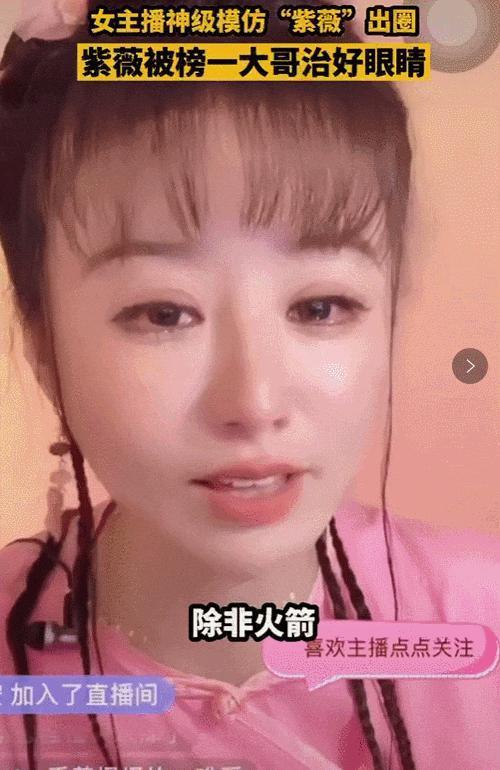 现在山寨明星赚的可能比明星本人还要多