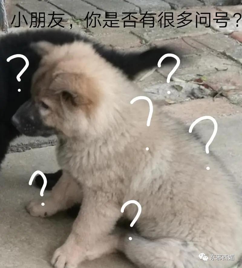 炸裂！激情转账5201314，但清清白白中国好室友？