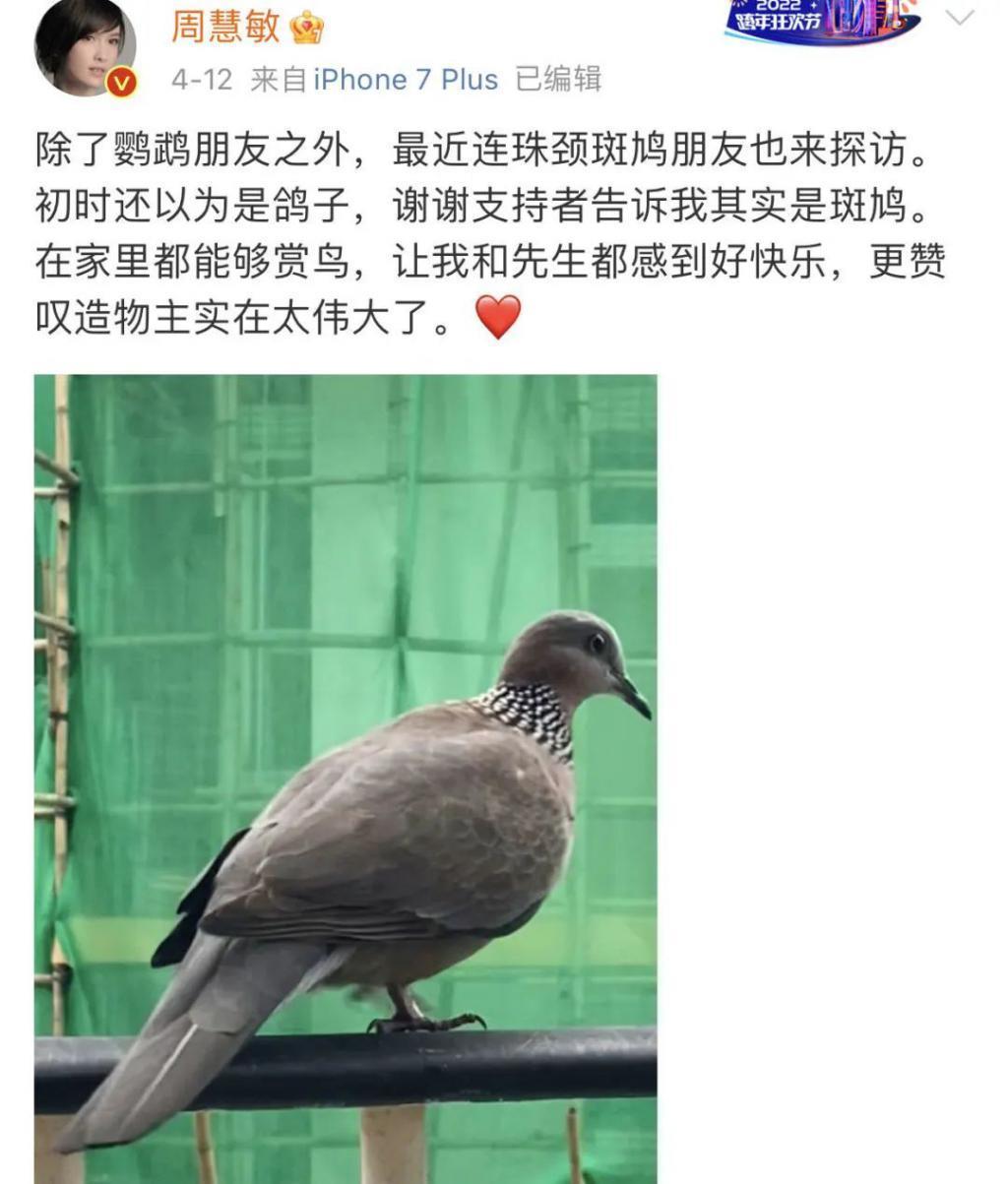 周慧敏：倪震出不出轨，只有我自己一人有资格去定论