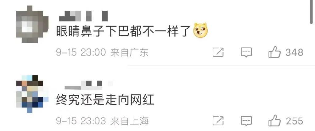 李子柒官宣新身份，消失700天回归，近照堪比“毁容”