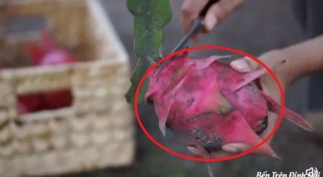 李子柒官宣新身份，消失700天回归，近照堪比“毁容”