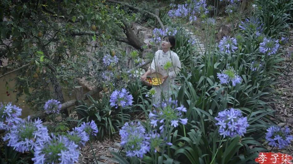 李子柒官宣新身份，消失700天回归，近照堪比“毁容”