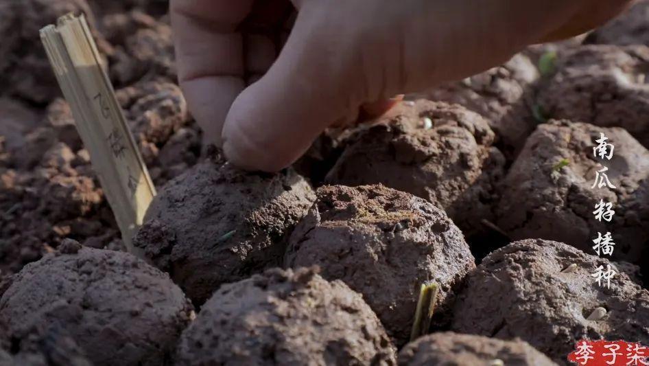 李子柒官宣新身份，消失700天回归，近照堪比“毁容”