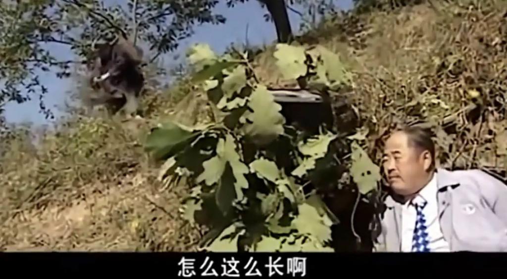 没 人 拍 农 村 戏 了