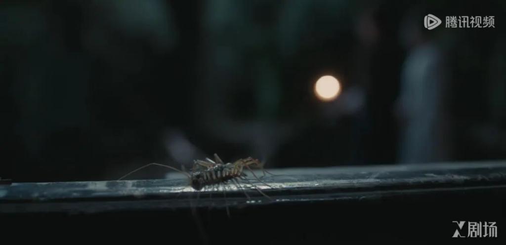 凶手是谁？《繁城之下》的野心不止于此