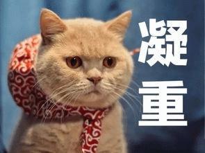 微软收购暴雪，游戏行业要 “ 变天 ” 了！