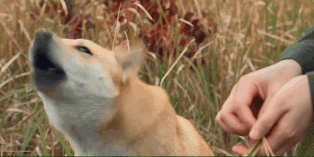 还有她不敢怼的吗？