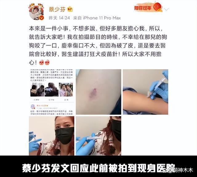 娱乐圈纵狗伤人的明星，致人毁容、害死老人，一个比一个过分