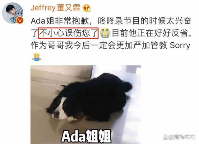 娱乐圈纵狗伤人的明星，致人毁容、害死老人，一个比一个过分