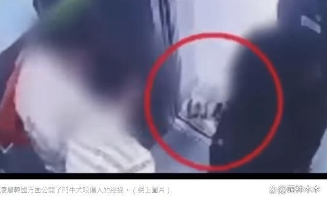 娱乐圈纵狗伤人的明星，致人毁容、害死老人，一个比一个过分