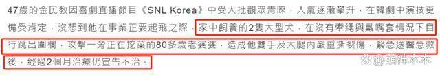 娱乐圈纵狗伤人的明星，致人毁容、害死老人，一个比一个过分