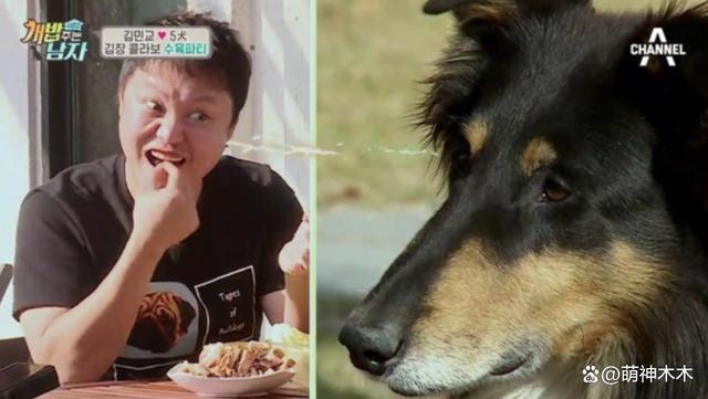 娱乐圈纵狗伤人的明星，致人毁容、害死老人，一个比一个过分