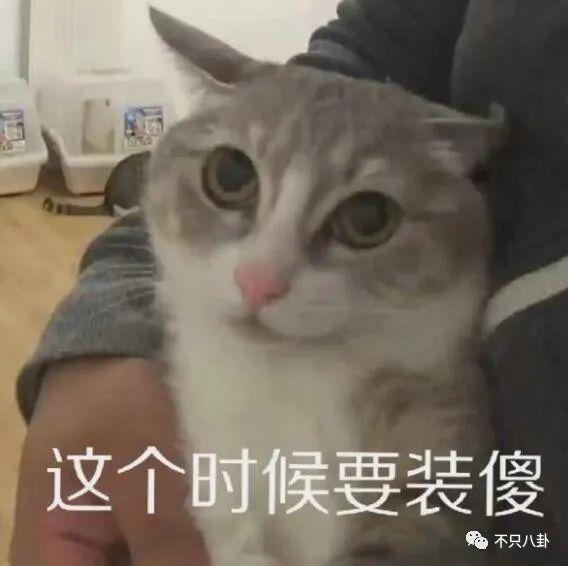 性取向成迷？他的黑历史被深扒背后到底有没有推手？