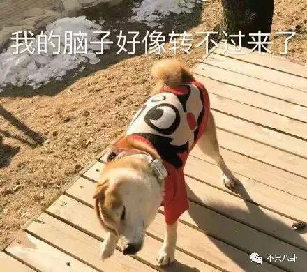 性取向成迷？他的黑历史被深扒背后到底有没有推手？