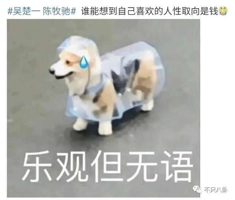 性取向成迷？他的黑历史被深扒背后到底有没有推手？