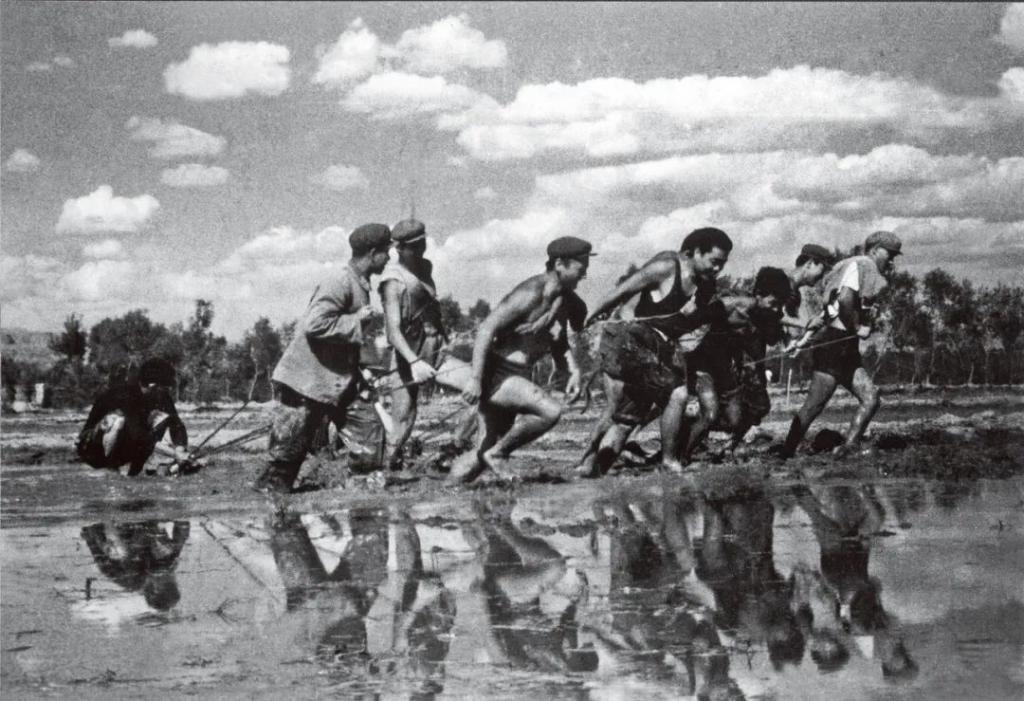 郭宝昌的一生，看哭多少人