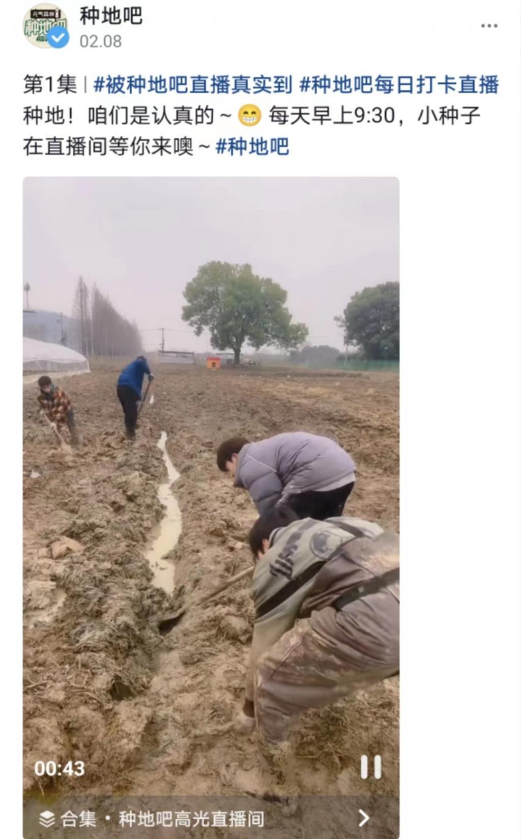 救命，谁教她这么炒作的？