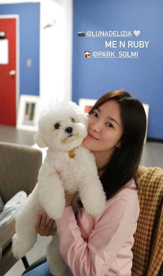宋慧乔和闺蜜开心聚会 晒与爱犬合照穿粉衣笑容甜