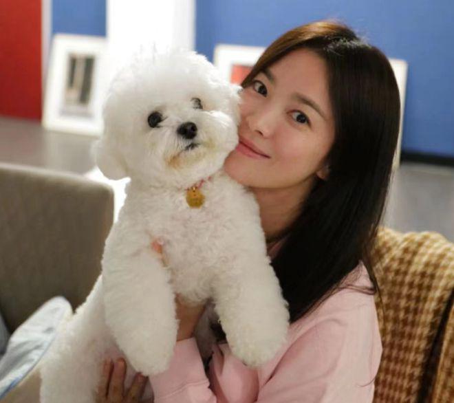宋慧乔和闺蜜开心聚会 晒与爱犬合照穿粉衣笑容甜